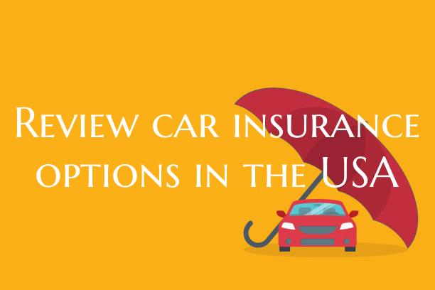 Review car insurance options...